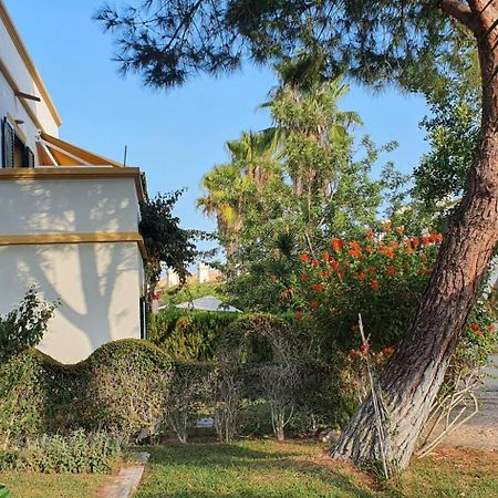 Nice 2 Bedroom Apartment Groundfloor Swimming Pool Tavira Exterior foto