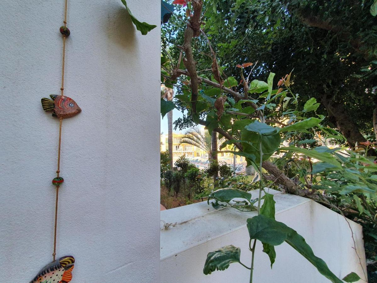 Nice 2 Bedroom Apartment Groundfloor Swimming Pool Tavira Exterior foto